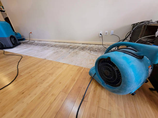 Professional Sewage Cleanup technician working in Brunswick, MD